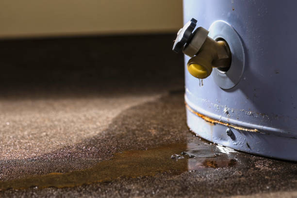 Best Commercial water damage restoration  in San Jacinto, CA