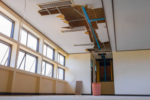 Trusted San Jacinto, CA Water damage restoration Experts