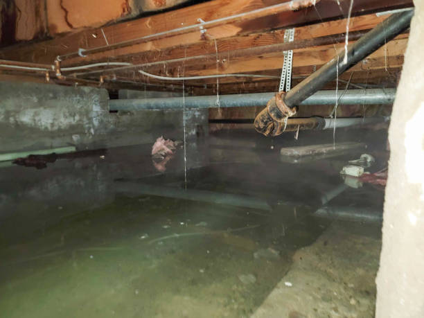 Best Emergency water damage restoration  in San Jacinto, CA