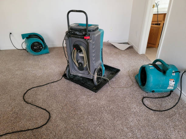 Carpet water damage restoration in San Jacinto, CA
