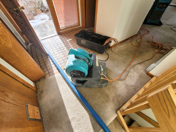 Best 24/7 water damage repair  in San Jacinto, CA