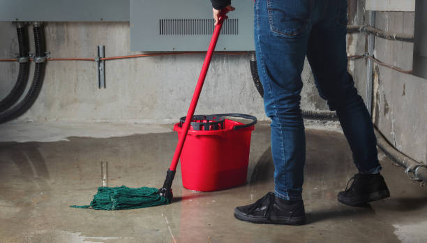 Best Fire Damage Restoration  in San Jacinto, CA