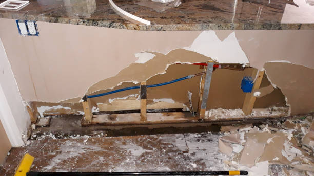 Best Mold removal after water damage  in San Jacinto, CA