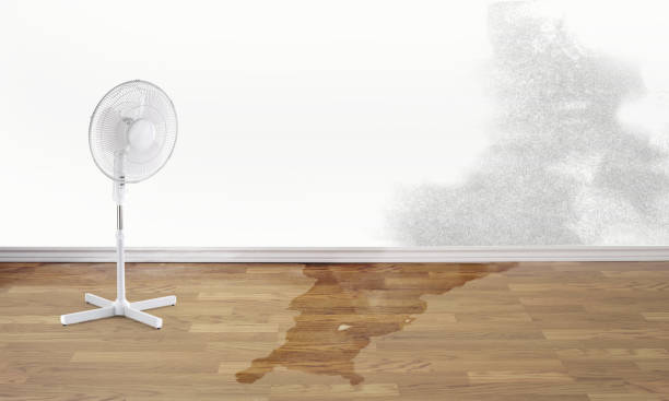 Best Flood restoration services  in San Jacinto, CA