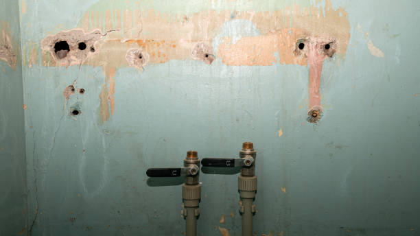 Best Water damage restoration services  in San Jacinto, CA