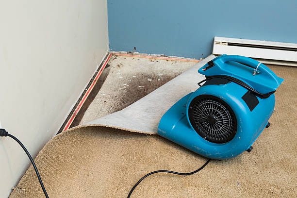Best Water damage cleanup near me  in San Jacinto, CA